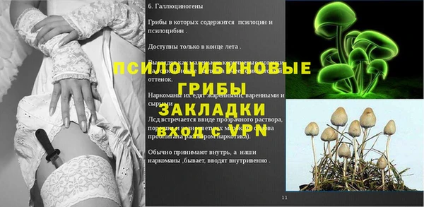 прущие крисы Армянск