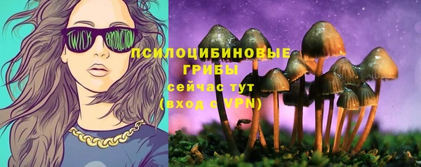 прущие крисы Армянск
